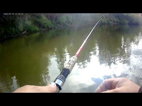 Видео: Рыбалка на Чулыме.Щука 9кг. Крупный окунь,судак.