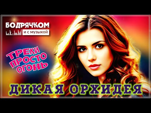 Видео: ДИКАЯ ОРХИДЕЯ - СБОРНИК | ТРЕКИ ПРОСТО ОГОНЬ