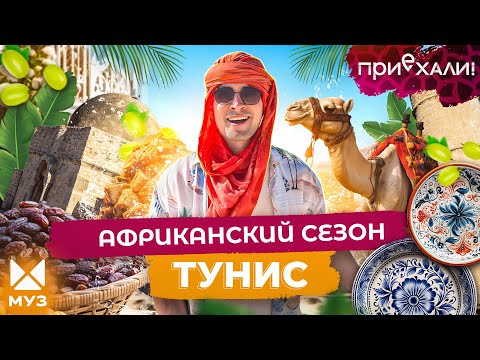 Видео: ТУНИС | Сокровища в пустыне, Голливуд на барханах и котики | Приехали!