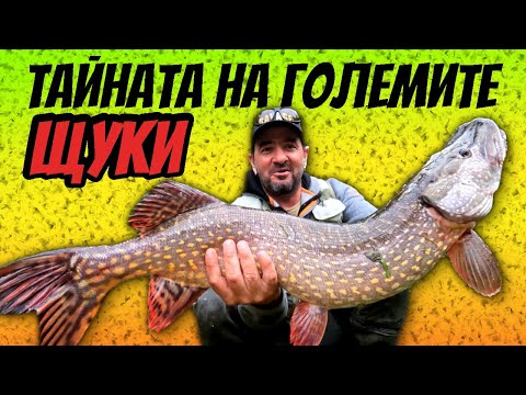 Видео: 7 КЛЮЧА за УСПЕХ в РИБОЛОВА НА ЩУКА!