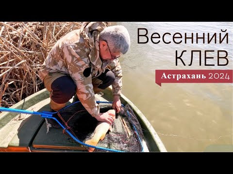Видео: Семейная рыбалка в дельте Волги: испытание удачей и погодой!