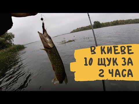 Видео: Рыбалка в Киеве  За 2 часа 10 щук