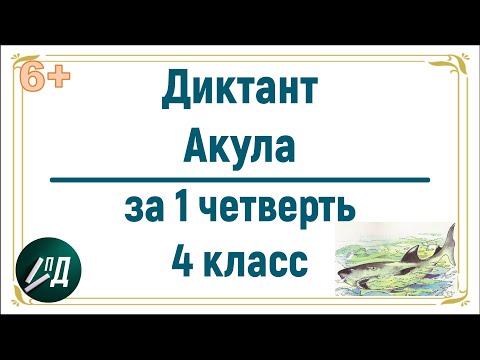 Видео: Диктант "Акула" за 1 четверть 4 класса с проверкой