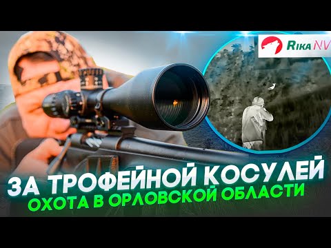 Видео: За трофейной косулей в Орёл! Трудовая охота лета 2023.