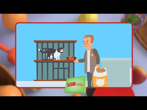 Видео: ☀️С добрым утром, малыши! Волонтерство и добровольничество - ЗОЖкины