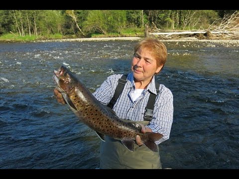 Видео: Рыбалка на Красивой реке. Дальний Восток.