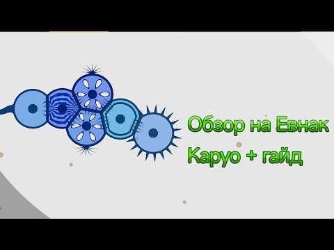 Видео: Евнак Каруо - обзор существа + гайд | Cell lab #celllab