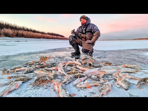 Видео: ОПАСНЫЙ ПЕРВЫЙ ЛЁД ! ПОЛМЕШКА РЫБЫ! БАЛАНСИР, Жерлица. РЫБАЛКА В ЯКУТИИ!