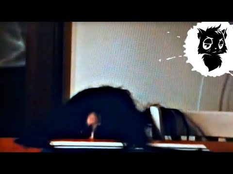 Видео: 5 МОНСТРОВ ИЗ ЯПОНИИ СНЯТЫХ НА КАМЕРУ [Черный кот]