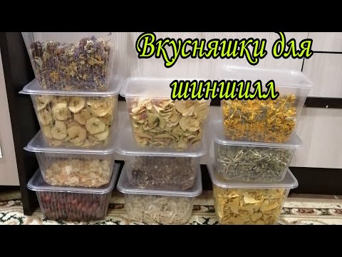 Видео: Коробочки с вкусняшками для шиншилл.