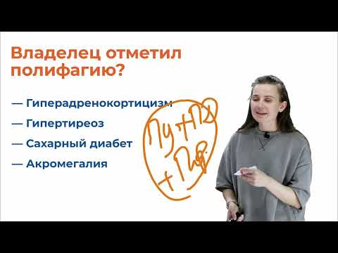 Видео: Полиурия и полидипсия