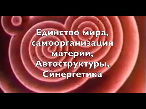 Видео: В поисках единства, самоорганизация материи, автоструктуры, синергетика. Леннаучфильм 1986г