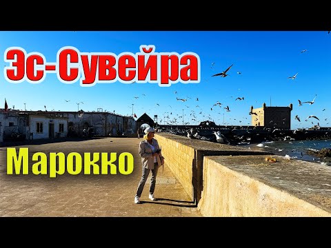 Видео: Летающие козы. Рыбный рынок в Эс-Сувейре.