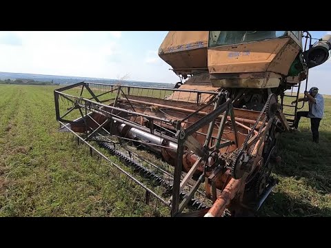 Видео: Уборка озимого гороха  НС " МОРОЗ "  2021 . Заехали на поле - урожай очень разочаровал .