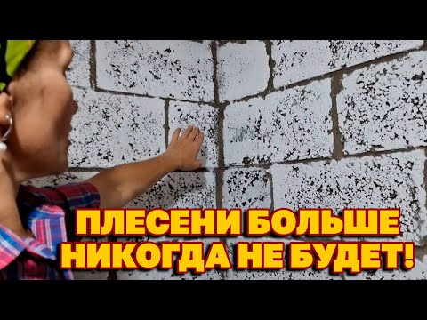 Видео: СПОСОБ ОЧИСТИТЬ ПОГРЕБ ПОДВАЛ ПОДПОЛ ОТ ПЛЕСЕНИ И СЫРОСТИ ПРОСТЫМ ДЕШЕВЫМ СРЕДСТВОМ@obovsemsmarusya