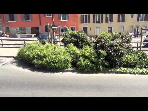 Видео: Альпы: Три страны 2014. День 5 Часть 2. Монтрё и Шильонский замок