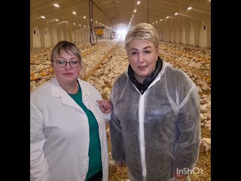 Видео: У новий 2025 рік з новими планами та підтримкою ТМ Біла Льошка