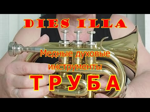 Видео: Труба.