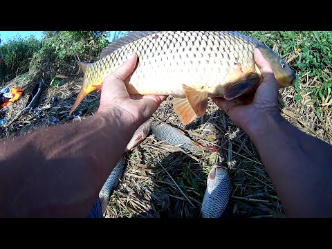 Видео: Летняя мормышка на  карпа. Часть вторая