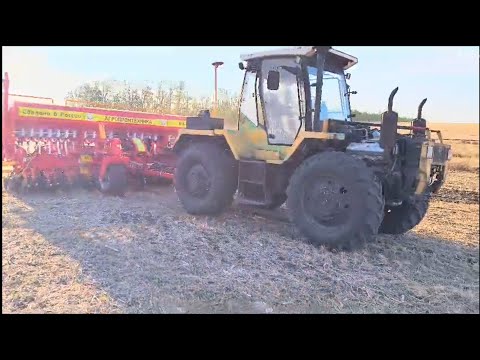 Видео: Сев озимого рапса сеялкой СПС-6. No-Till на Кубани.