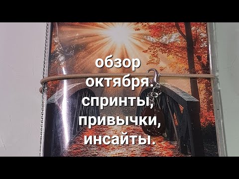 Видео: Планирование без иллюзий: что оказалось полезным в октябре? ежедневник, my planner, sterling ink