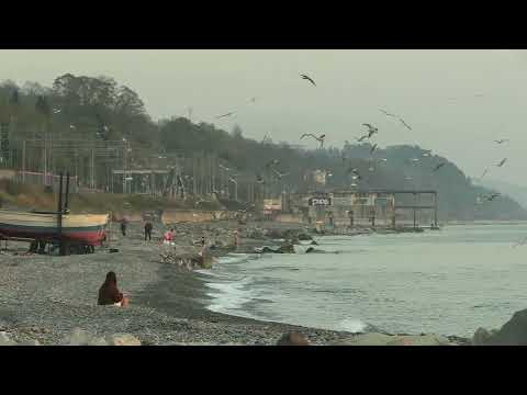 Видео: Ноябрь в Сочи. Пляж Якорная Щель. В этом время года тут большая рыбалка на барабулю и других рыб.