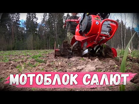 Видео: Что такое МОТОБЛОК САЛЮТ? Детальный разбор от Gardenstock, комплектация, работа по целине!