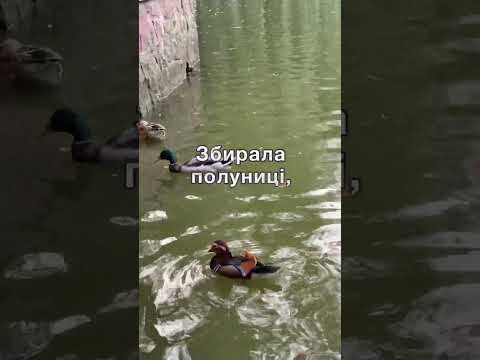 Видео: Щастя за добро
