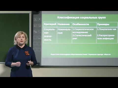 Видео: 8 класс. Обществознание.  Социальная структура общества