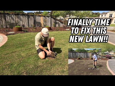 Видео: Выравнивание моего нового газона // Кожа головы и верхнее покрытие