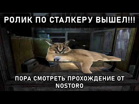 Видео: NOSTORO ПРОХОДИТ СТАЛКЕР АНОМАЛИИ нашел секретный лаз в трубе часть 6  Nostoro нарезки Егора 1