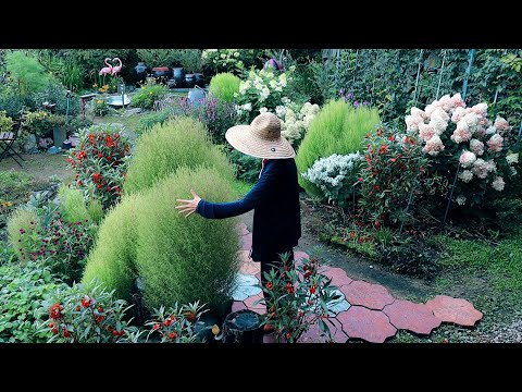 Видео: Загородная жизнь после летнего зноя