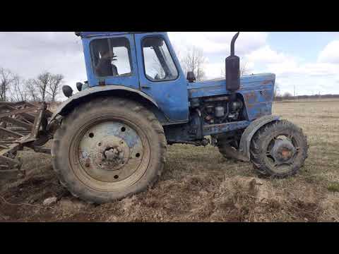 Видео: Мтз 52 в работе с культиватором КПС-4.