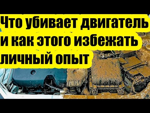 Видео: 5 простых привычек, чтобы мотор служил дольше