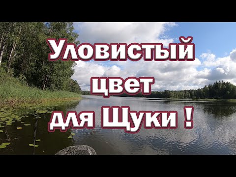 Видео: СЕКРЕТНЫЙ ЦВЕТ ВОБЛЕРА НА ЩУКУ! Какой цвет лучше атакует Щука.  Рыбалка на спиннинг.