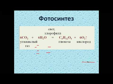 Видео: Кислород (часть 1)