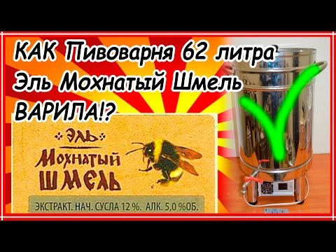 Видео: Как сварить пиво Эль мохнатый шмель дома