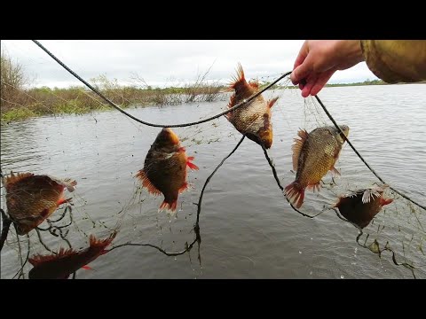 Видео: ПОДНЯЛИ СЕТЬ И ОХРЕНЕЛИ! ОТКУДА ЗДЕСЬ СТОЛЬКО РЫБЫ??? ПРОВЕРКА СЕТЕЙ НА ОЗЕРЕ. РЫБАЛКА В КОМИ КРАЕ.