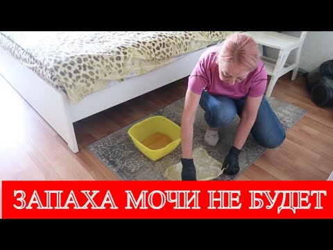 Видео: Многие не знают, что от запаха МОЧИ можно избавиться так просто