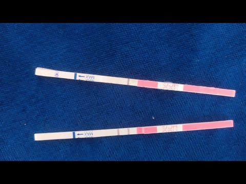 Видео: Экодан кейін тест көру №1,№2 попитка, эмбрион сапасы