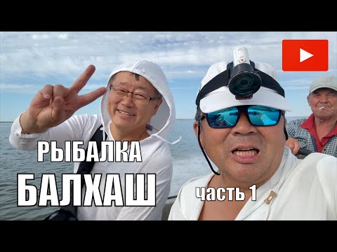 Видео: РЫБАЛКА МЕЧТЫ НА БАЛХАШЕ —САЗАН ЗА САЗАНОМ, КОРЕЙСКАЯ КУХНЯ И МОРЕ ПОЗИТИВА АВГУСТ 2025 ЧАСТЬ1