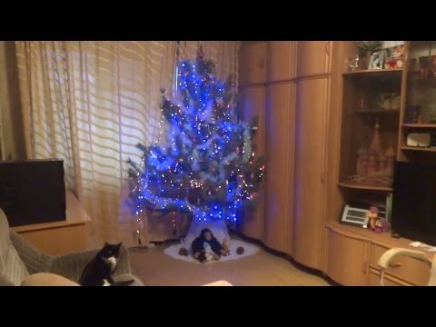 Видео: АСМР/Советские ёлочные игрушки. Моя ёлка/ASMR