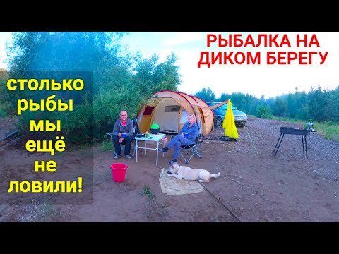 Видео: Рыбалка с комфортом на диком берегу. Отличный улов!