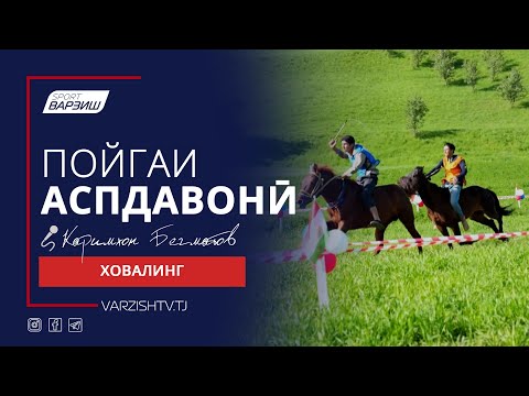 Видео: Пойгаи аспдавонӣ. Ховалинг