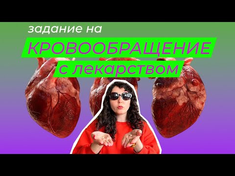 Видео: КАК РЕШАТЬ ЗАДАНИЯ НА КРОВООБРАЩЕНИЕ