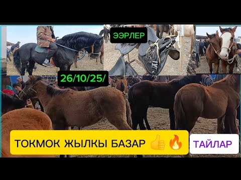 Видео: ЖЫЛКЫ БАЗАР ТОКМОК МАЛ БАЗАР АТТАР/БЭЭЛЕР/КУЛУНДАР/Тартылган тасма 26/10/25/