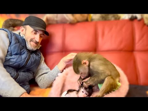 Видео: Мы стали оставлять Степашку в соседнем с Люсей вольере, посмотрите КАК они общаются)