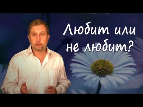 Видео: Как понять, что тебя любят?!