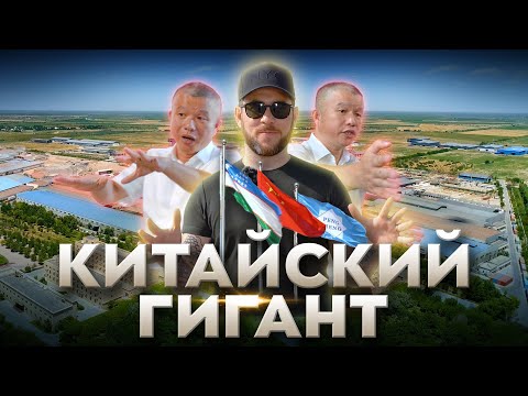 Видео: Бизнес по-китайски в Узбекистане