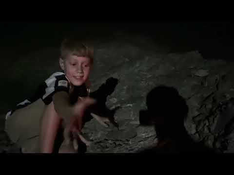 Видео: 27 марта 2025 г.